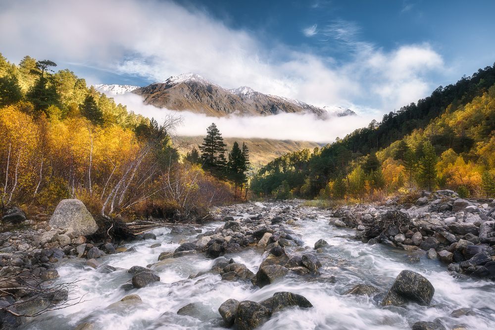 Photograph by Андрей Баскевич