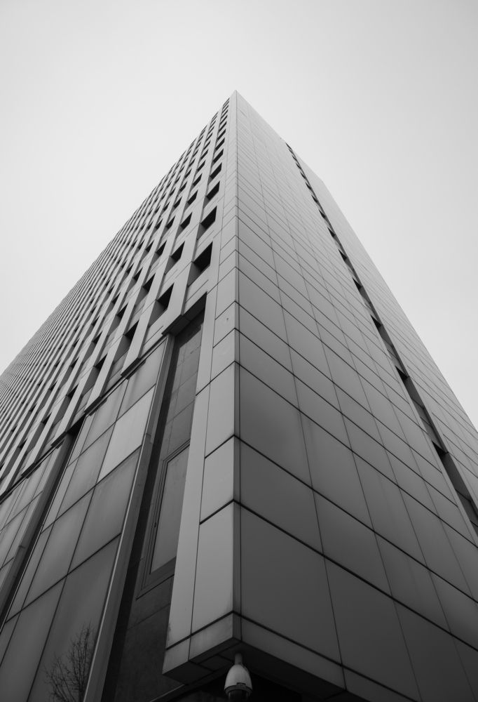 Photograph by Ash Amadian