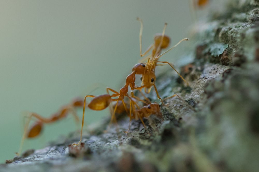 Photograph by Sudara Sansali De Silva