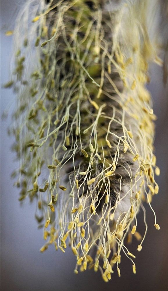 Photograph by Елизавета Силова