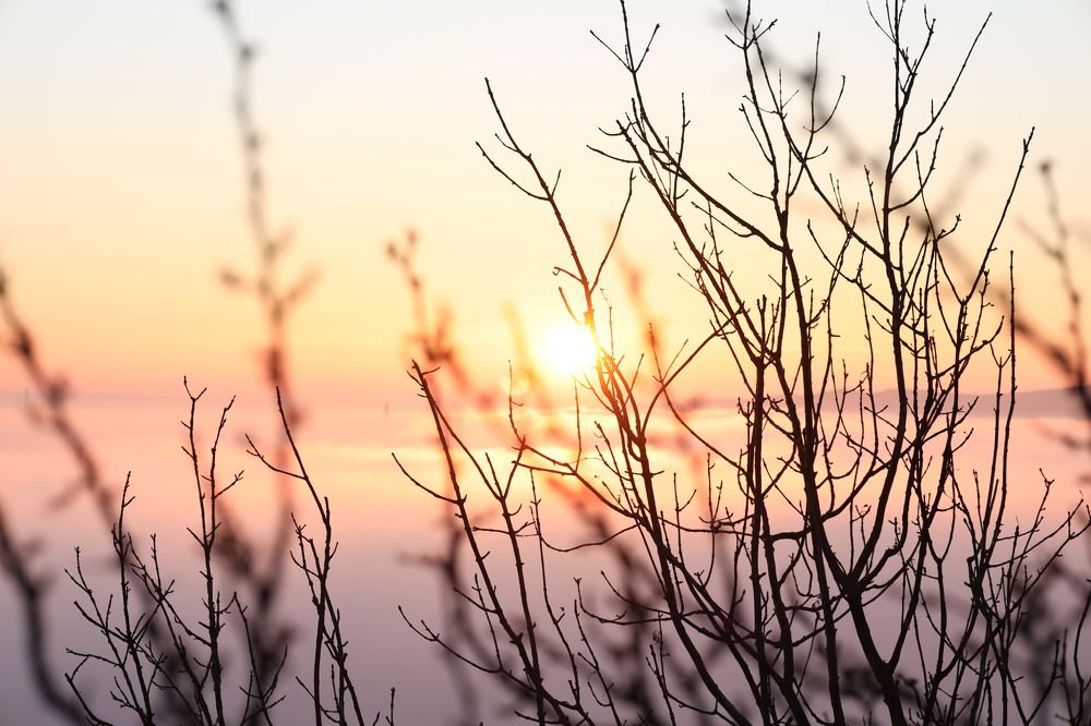 Photograph by Stefan Apostol