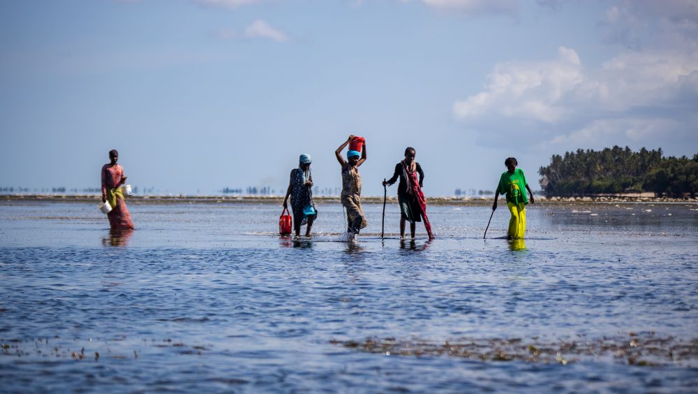 Photograph by Юлия Шурандина