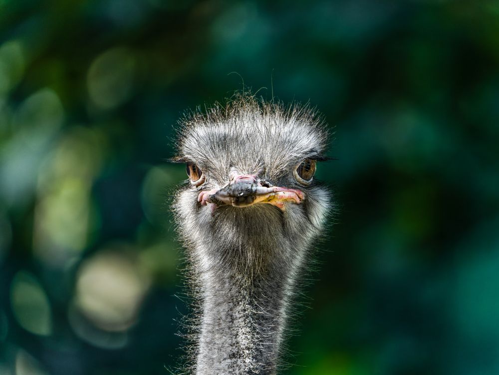 Photograph by Gagandeep Singh