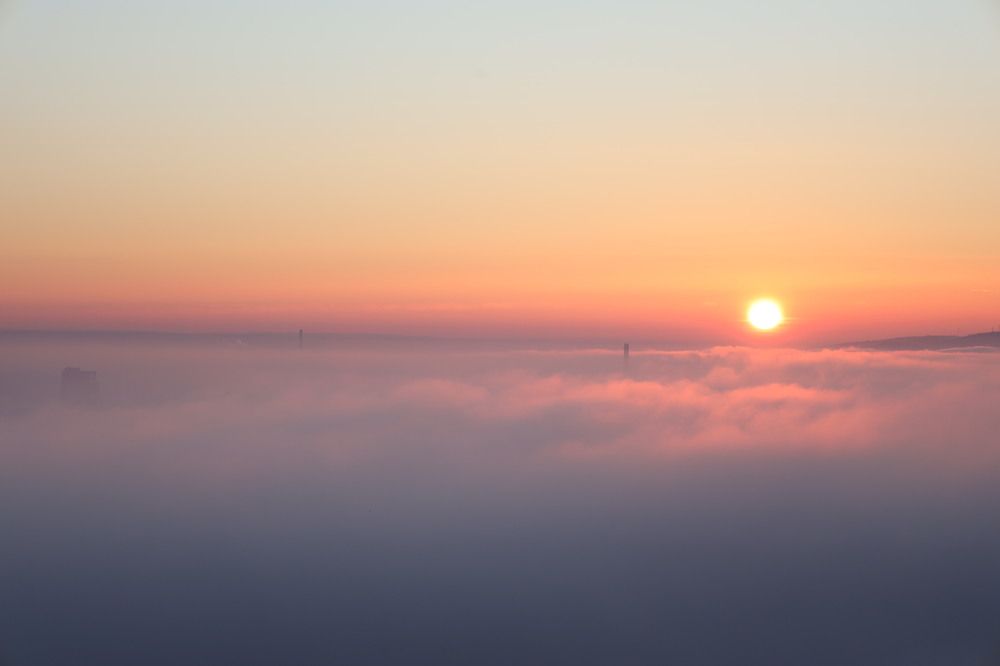 Photograph by Stefan Apostol