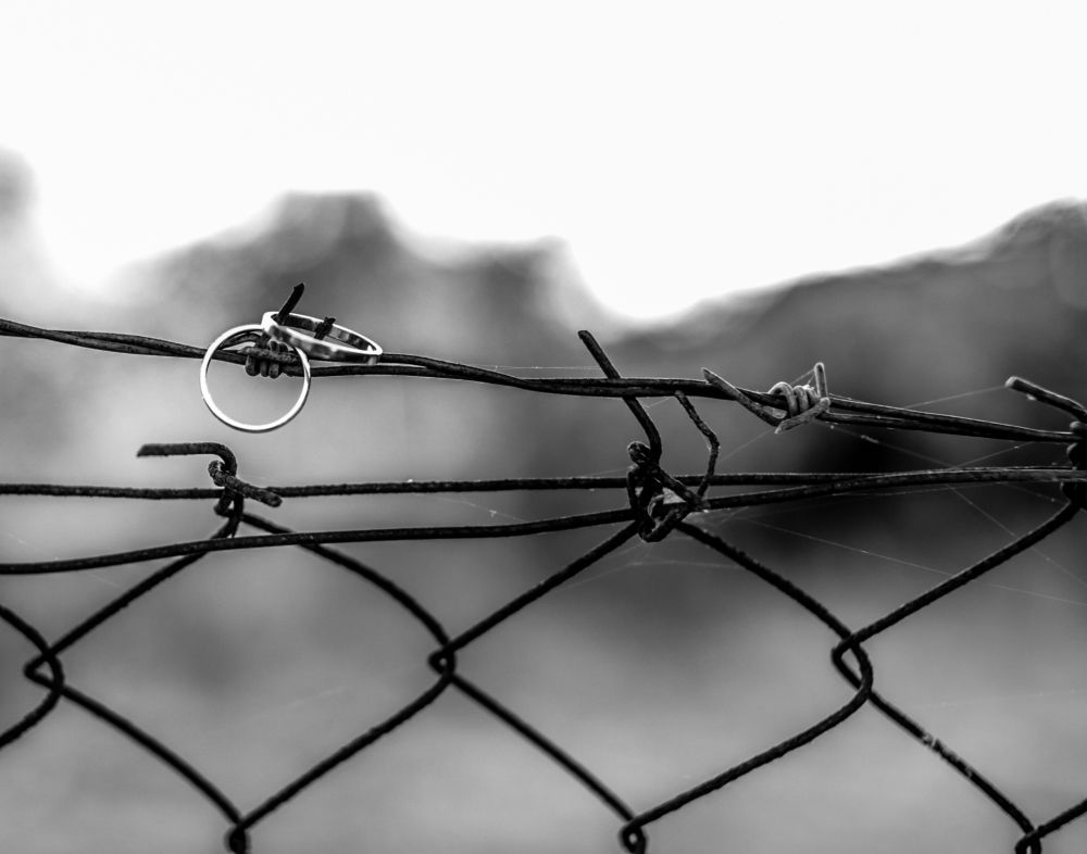 Photograph by Julia X