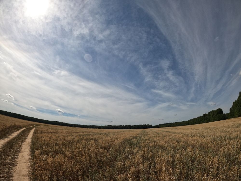 Photograph by Паша