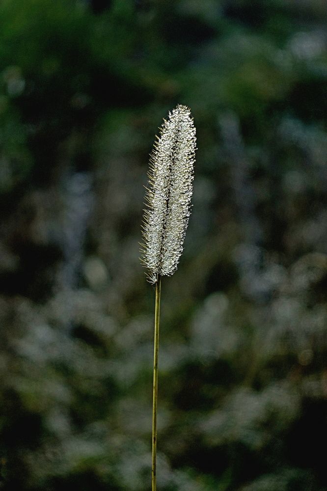 Фотография автора Віталій