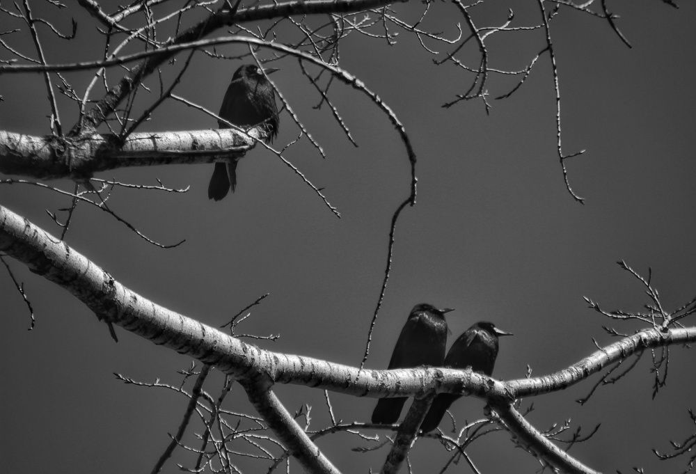 Photograph by Sergey Velichko