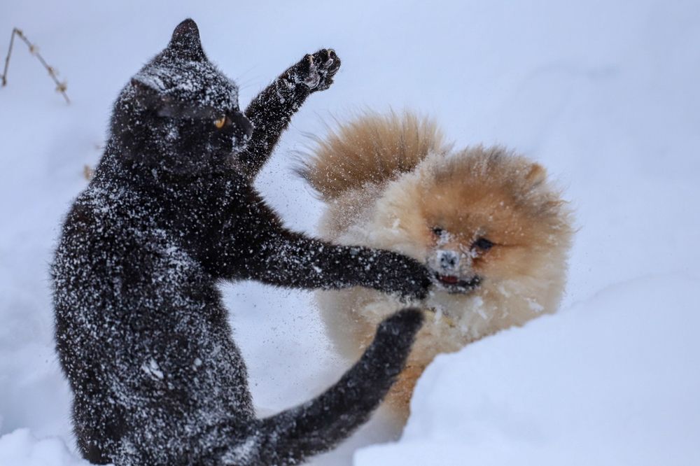 Photograph by Михаил Комраков