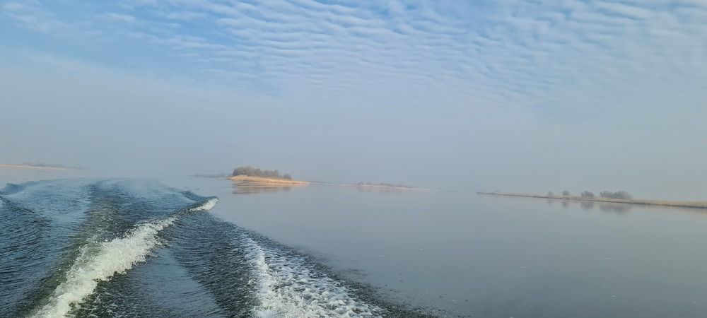 Photograph by Анна Романовская