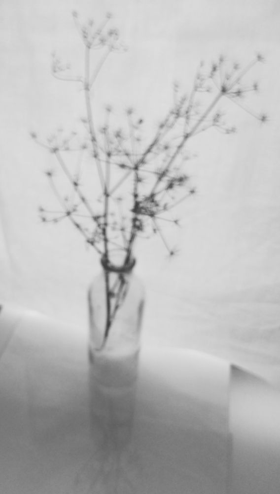 Photograph by Оксана Сабылина