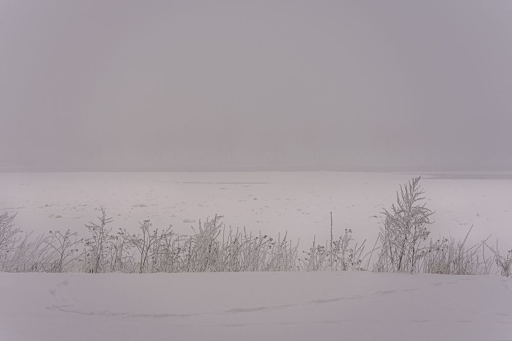 Photograph by Viktorija Cikiene