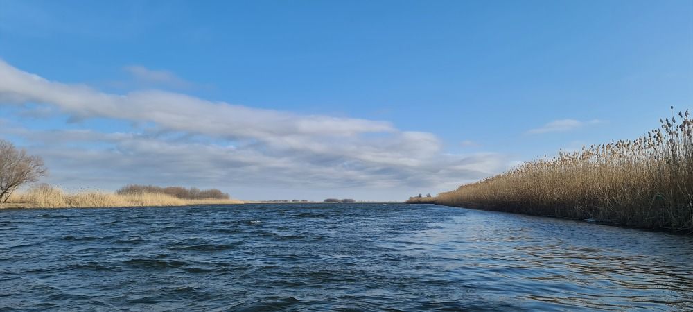 Photograph by Анна Романовская