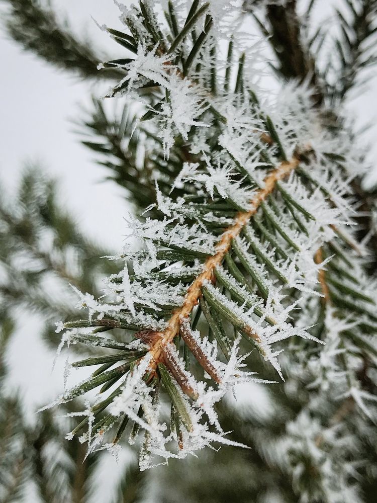 Photograph by Наталья Перерва