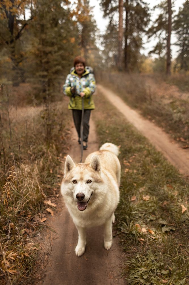 Photograph by Филатова Елена