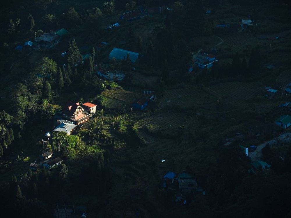 Photograph by Saswata Mukherjee