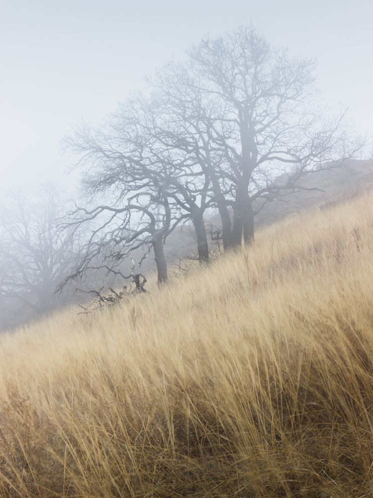 Photograph by Сергей Когда