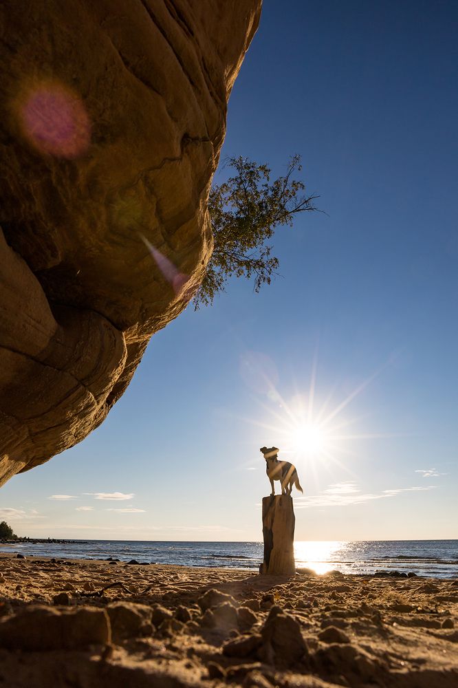 Photograph by Diana Jill Mehner