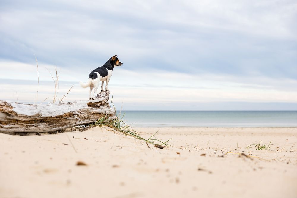 Photograph by Diana Jill Mehner