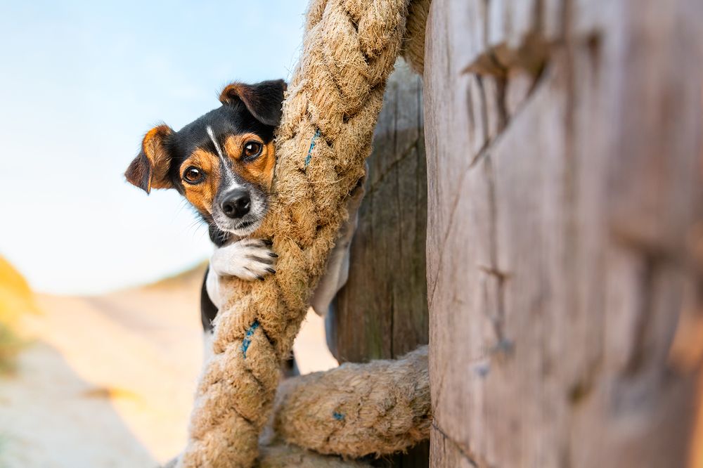 Photograph by Diana Jill Mehner