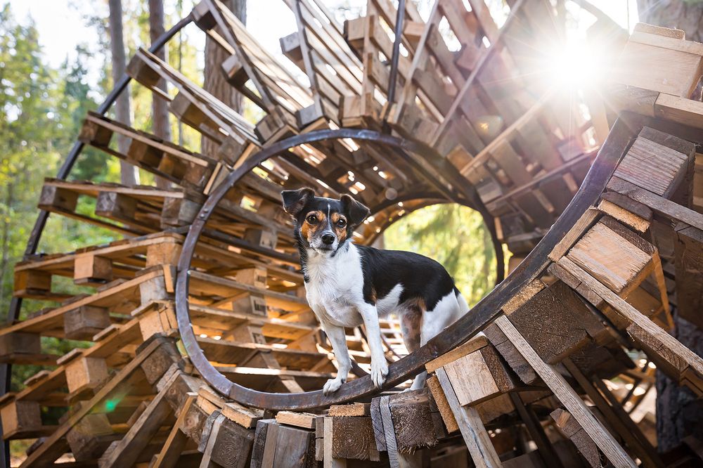 Photograph by Diana Jill Mehner