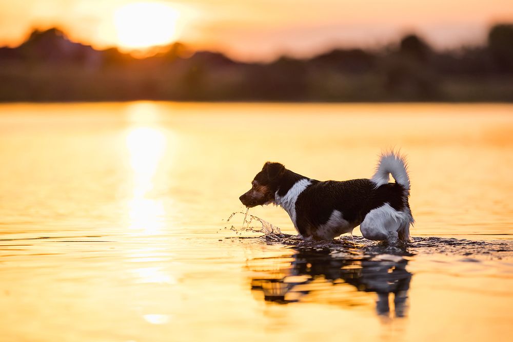 Photograph by Diana Jill Mehner