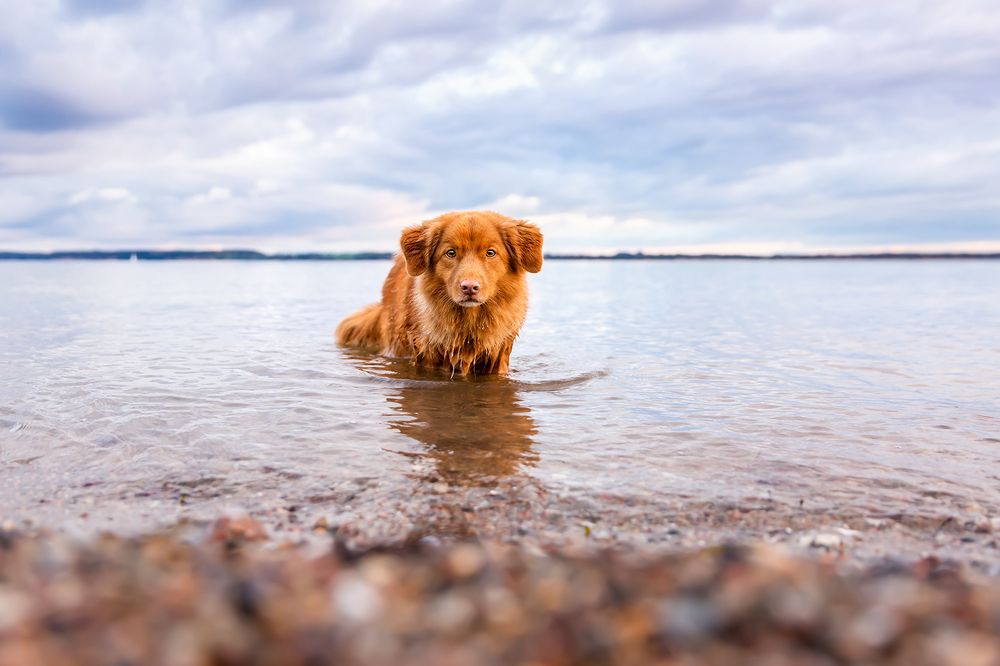 Photograph by Diana Jill Mehner