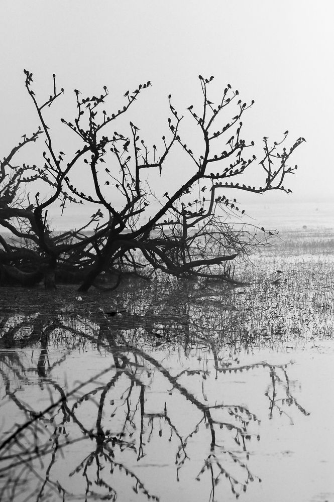 Photograph by RASHIN KARAYI