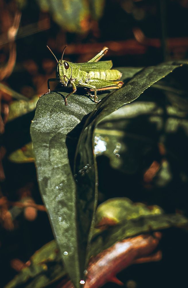 Фотография автора Віталій