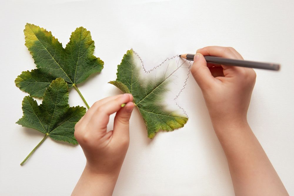 Photograph by Irina Kartoshova