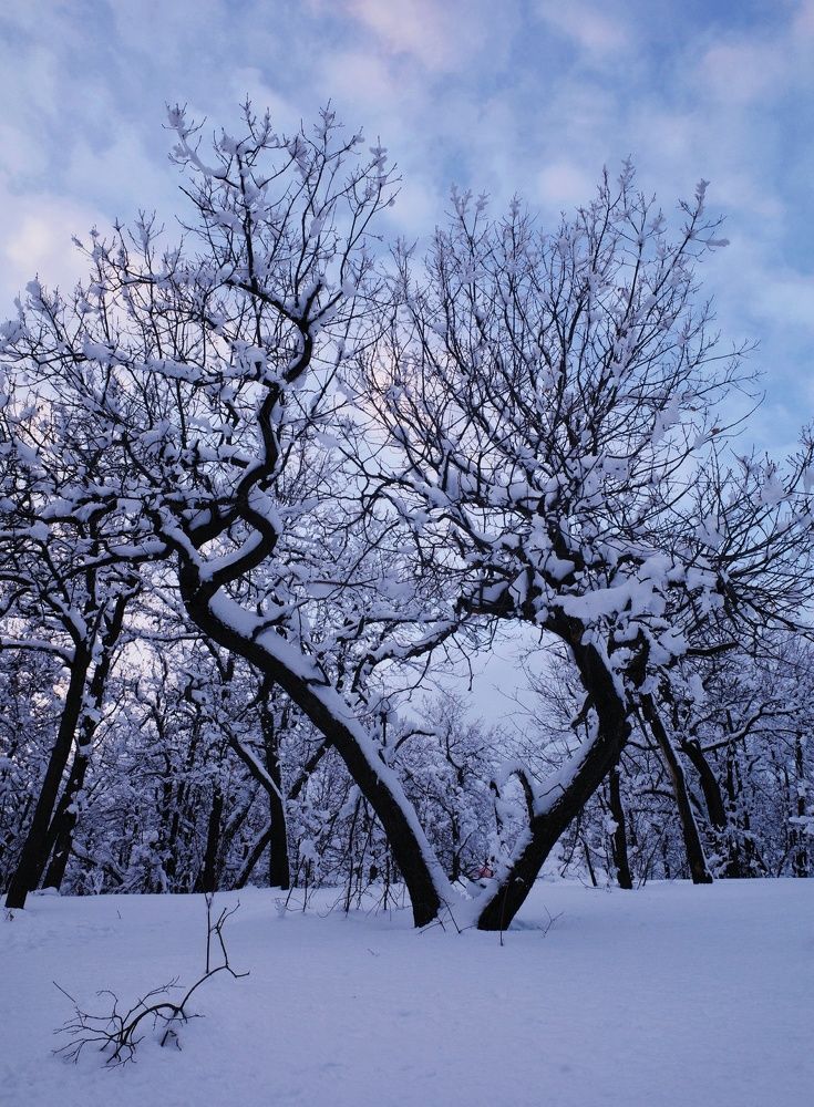 Photograph by Алла