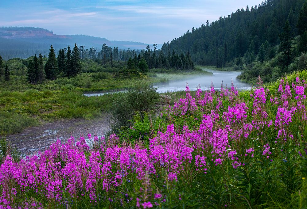Photograph by Зарышнюк Роман