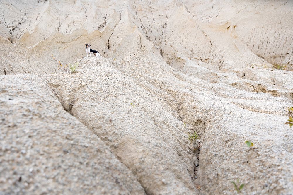 Photograph by Diana Jill Mehner