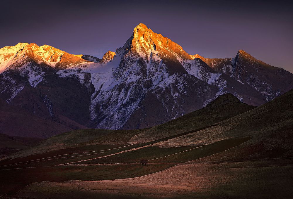 Photograph by Amir Eivany