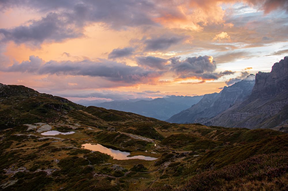 Photograph by Jeff Torroja