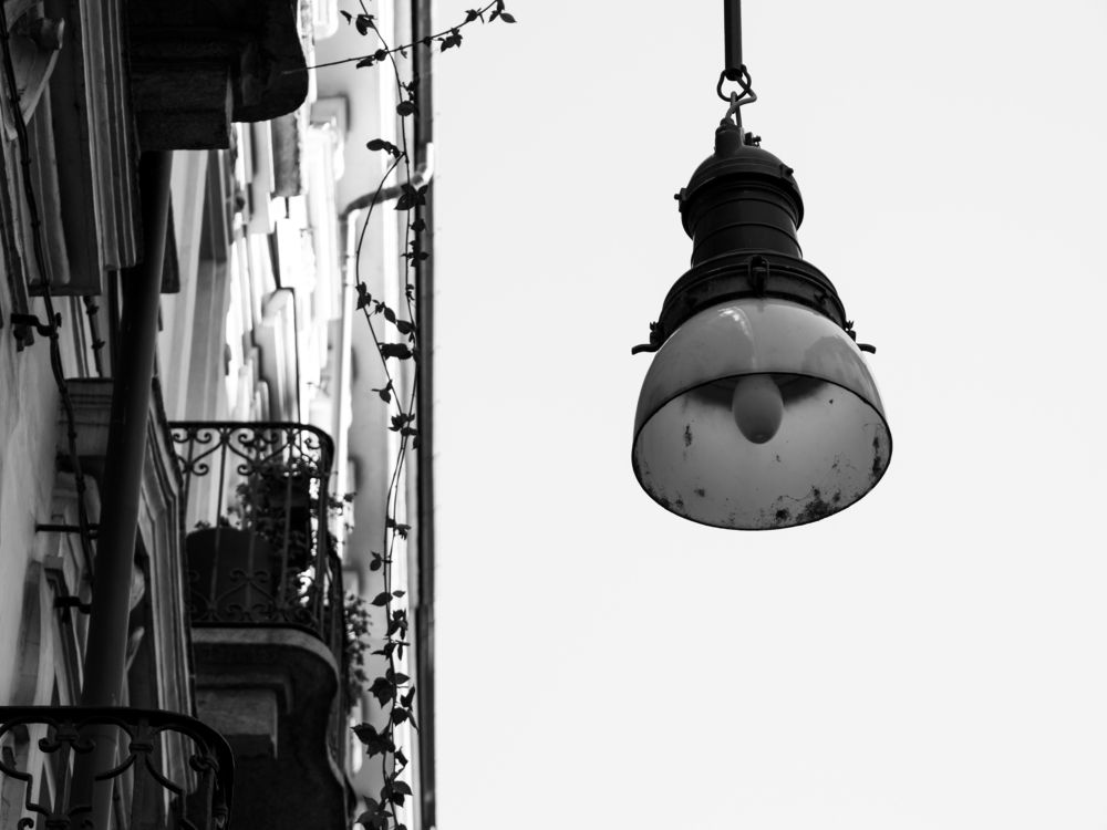 Photograph by Ash Amadian