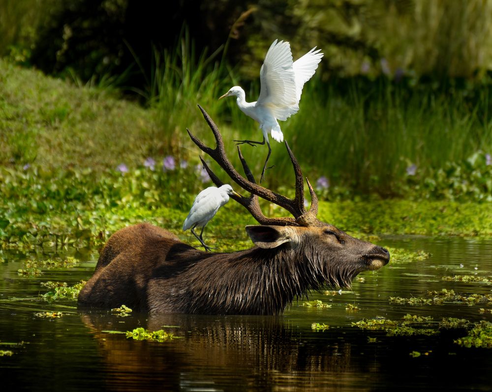 Photograph by Madhav Golhani