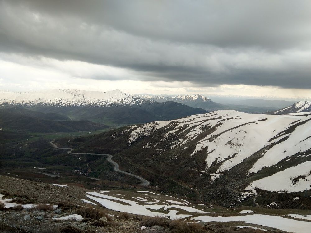 Photo #7381957