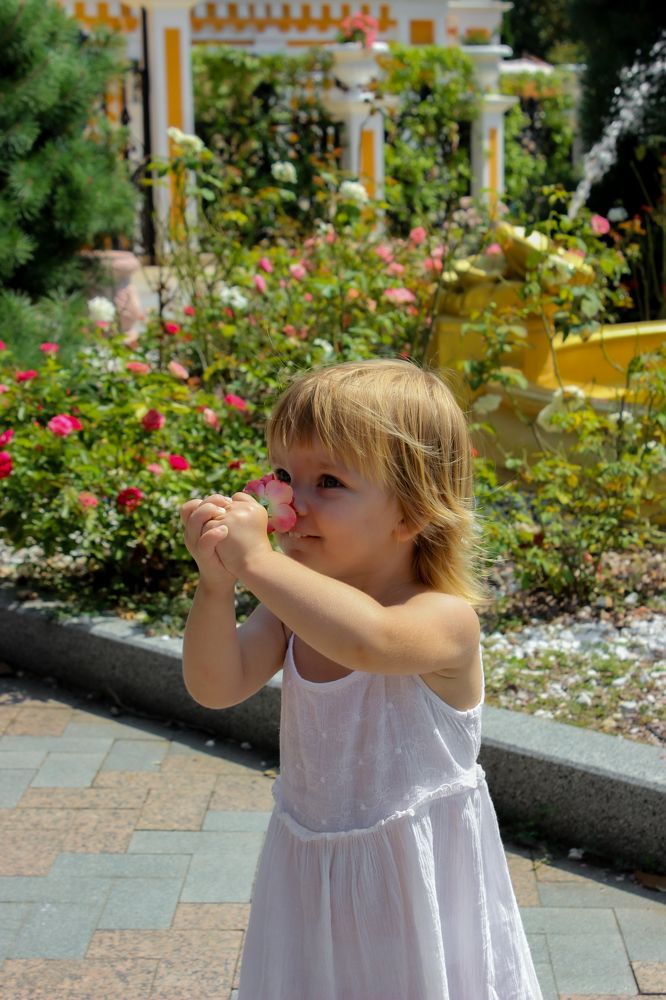 Photograph by Александра Мозаляускас