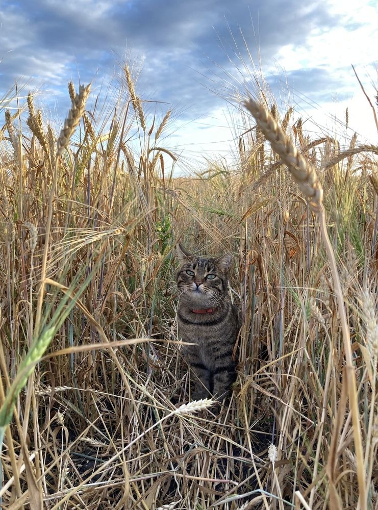 Фотография автора Светлана Тюрина