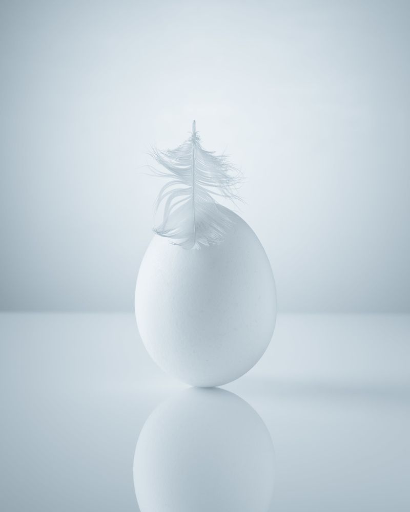 Яйцо и перо