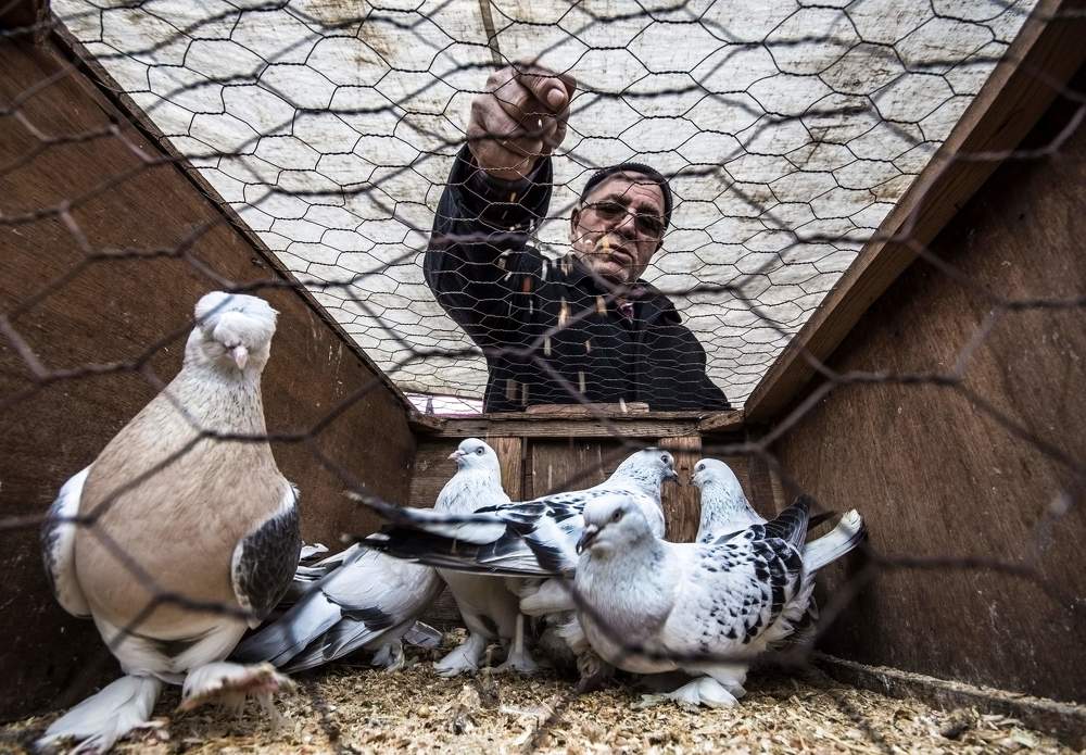 Фотография автора burak türk