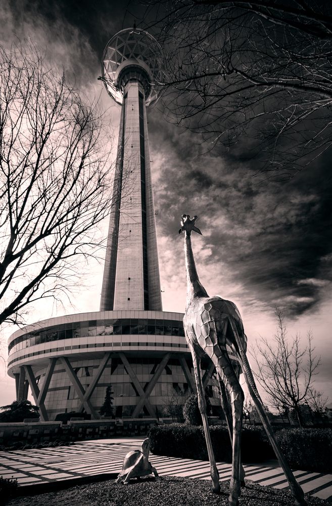 Photograph by amin kojoori