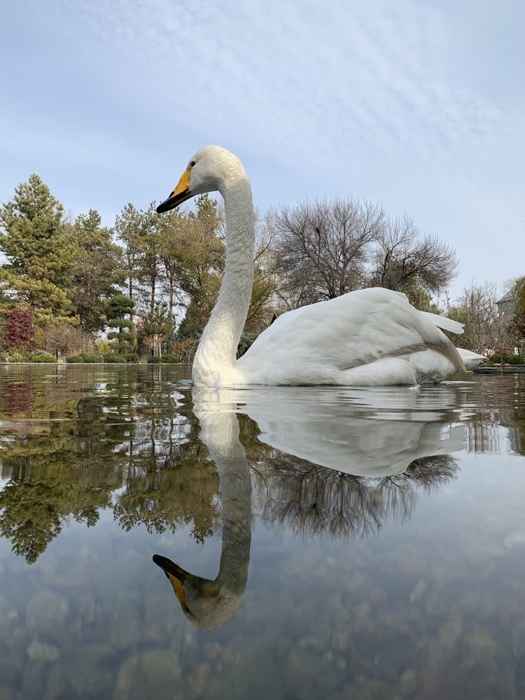 Photograph by Екатерина