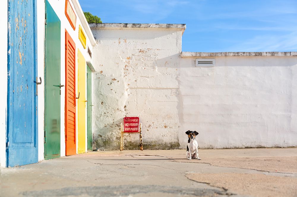 Photograph by Diana Jill Mehner