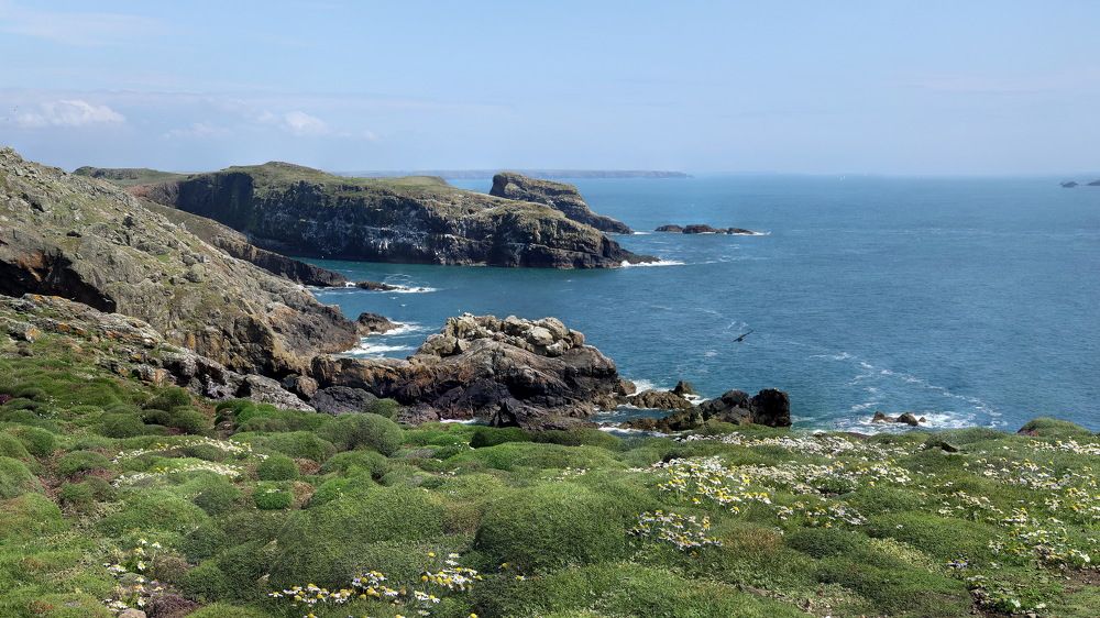 Photograph by Tatiana Serova