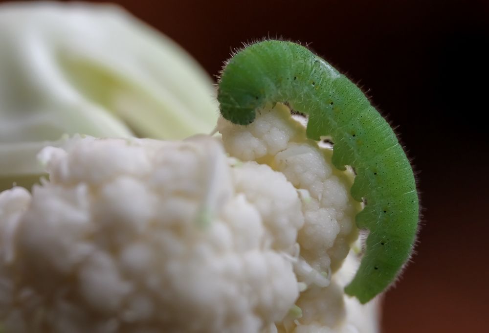 Photograph by Наталья Рябоконенко