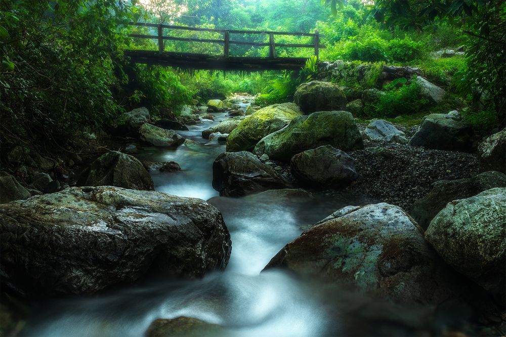 Photograph by Jayanta Guha