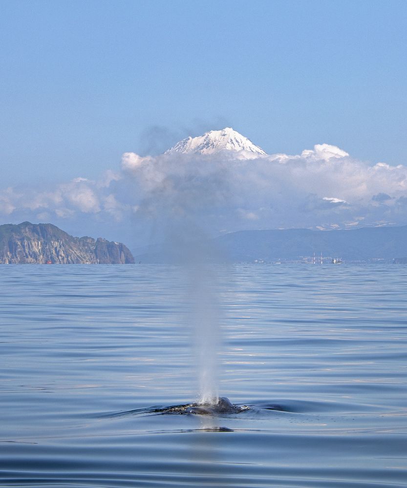 Photograph by Алексей Матвеев