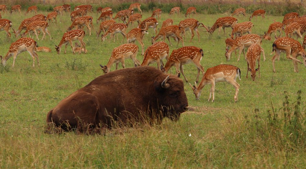 Photograph by Алексейчик Дмитрий